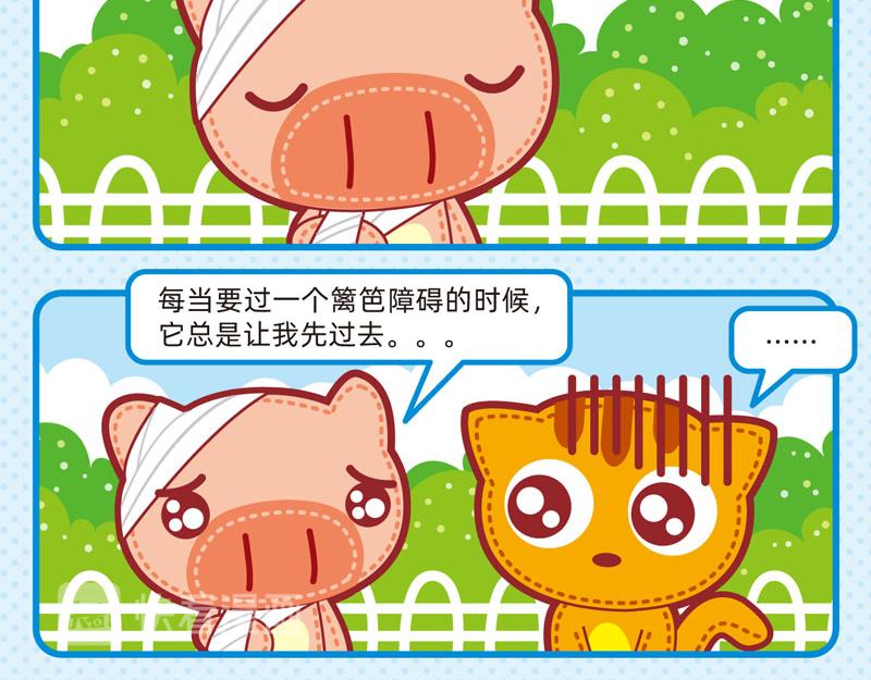 35兴趣培养14