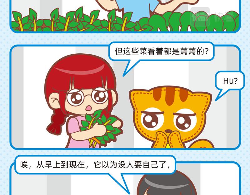 57优质服务15