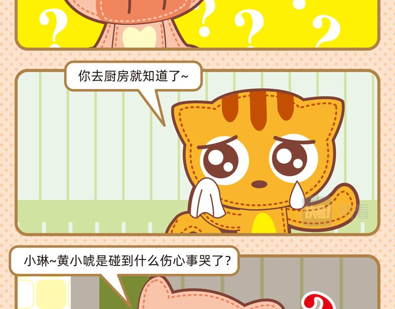 73家政能手11