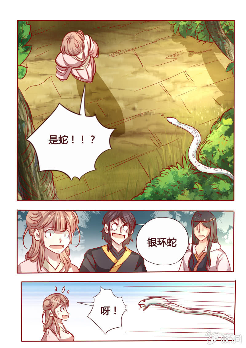 银环毒蛇5