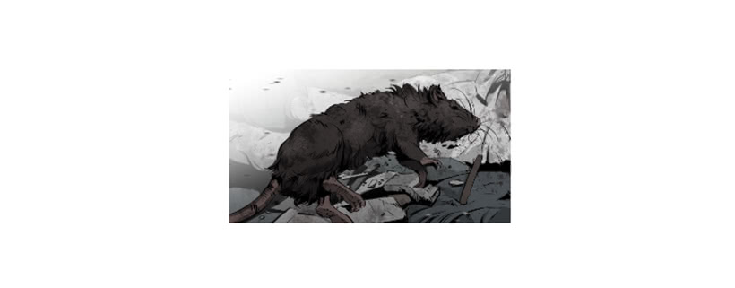 67.否则会死17