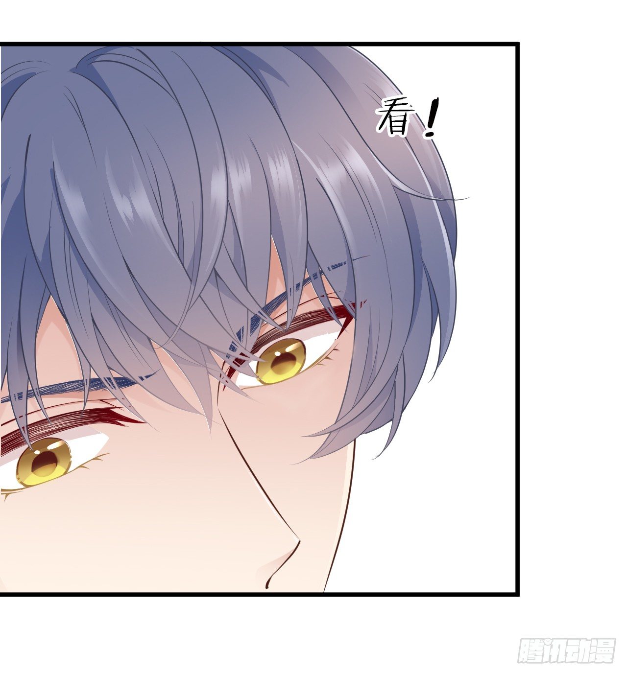 我回来了19