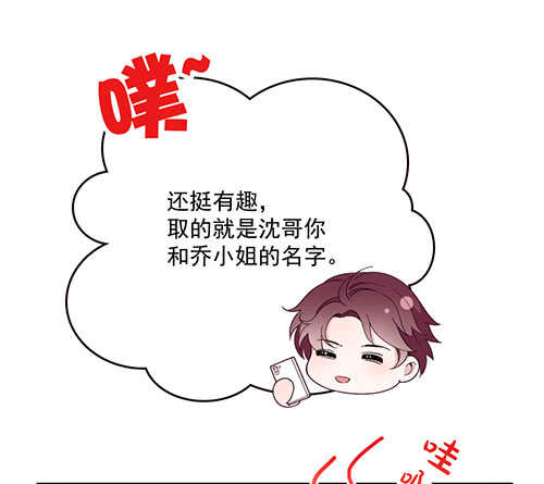 乔恋妙计脱险65