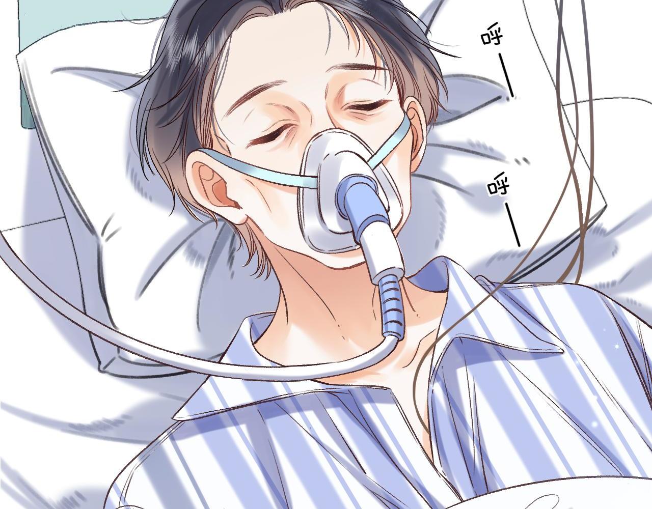 31 像不像17