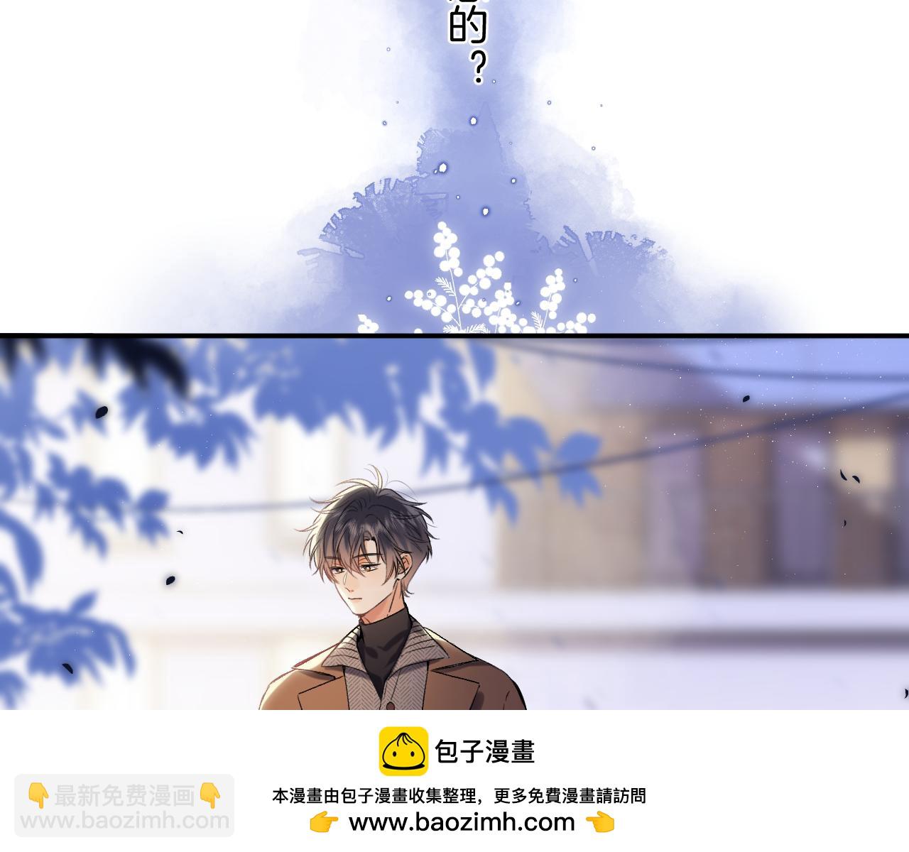 31 像不像49