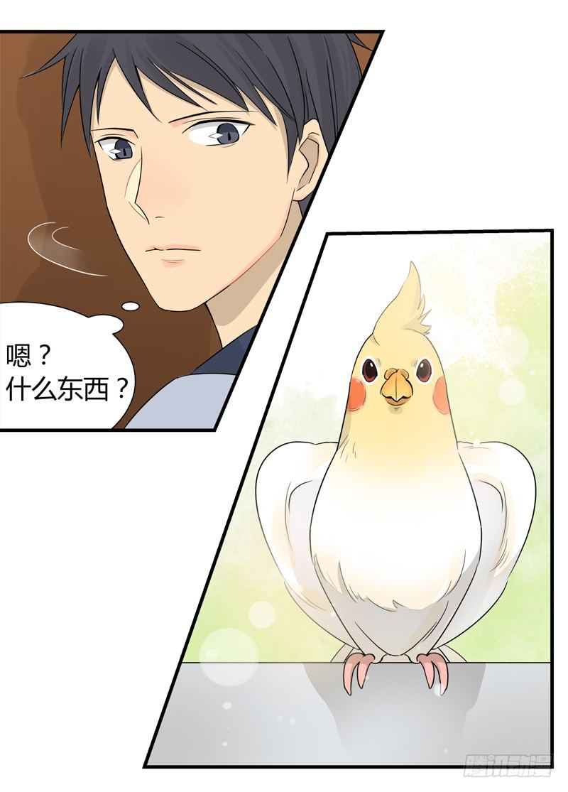 第015话 拜托那是窗帘啊5