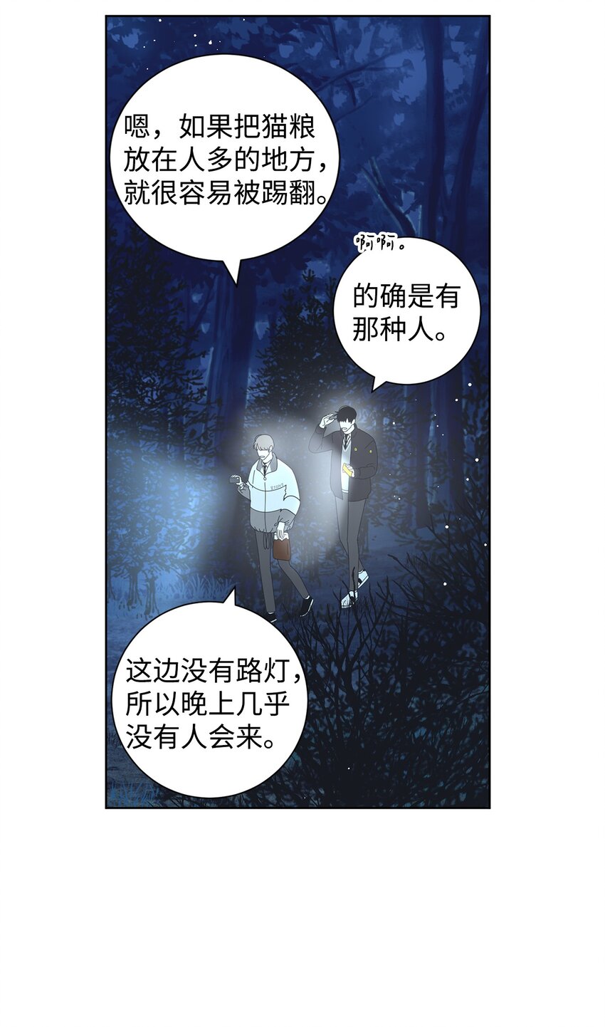 03 一起喂猫11