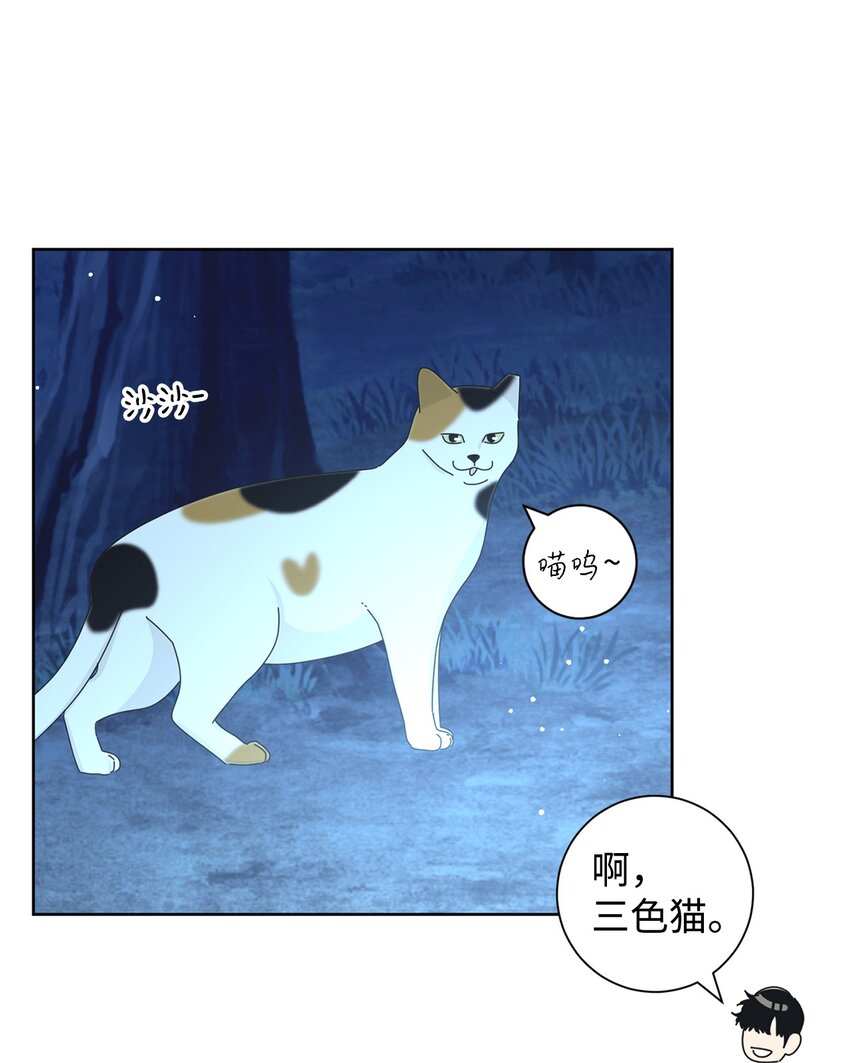03 一起喂猫12