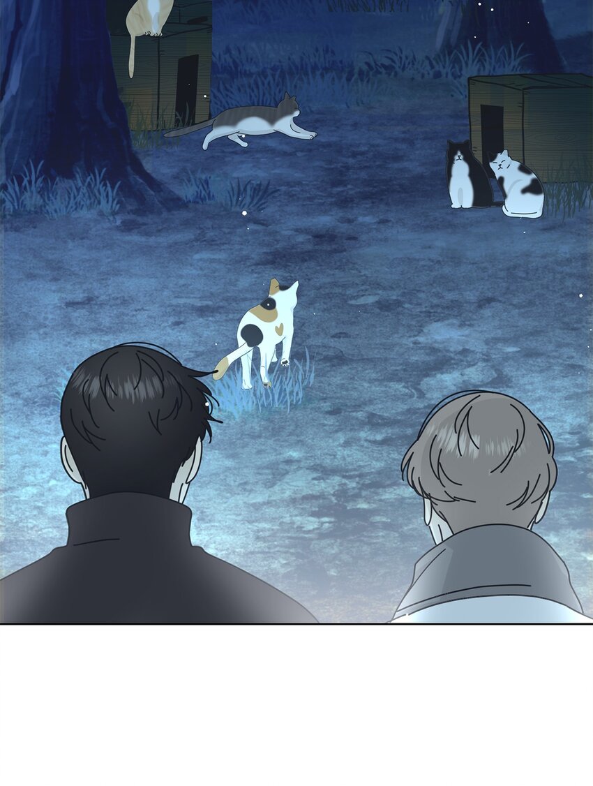 03 一起喂猫14