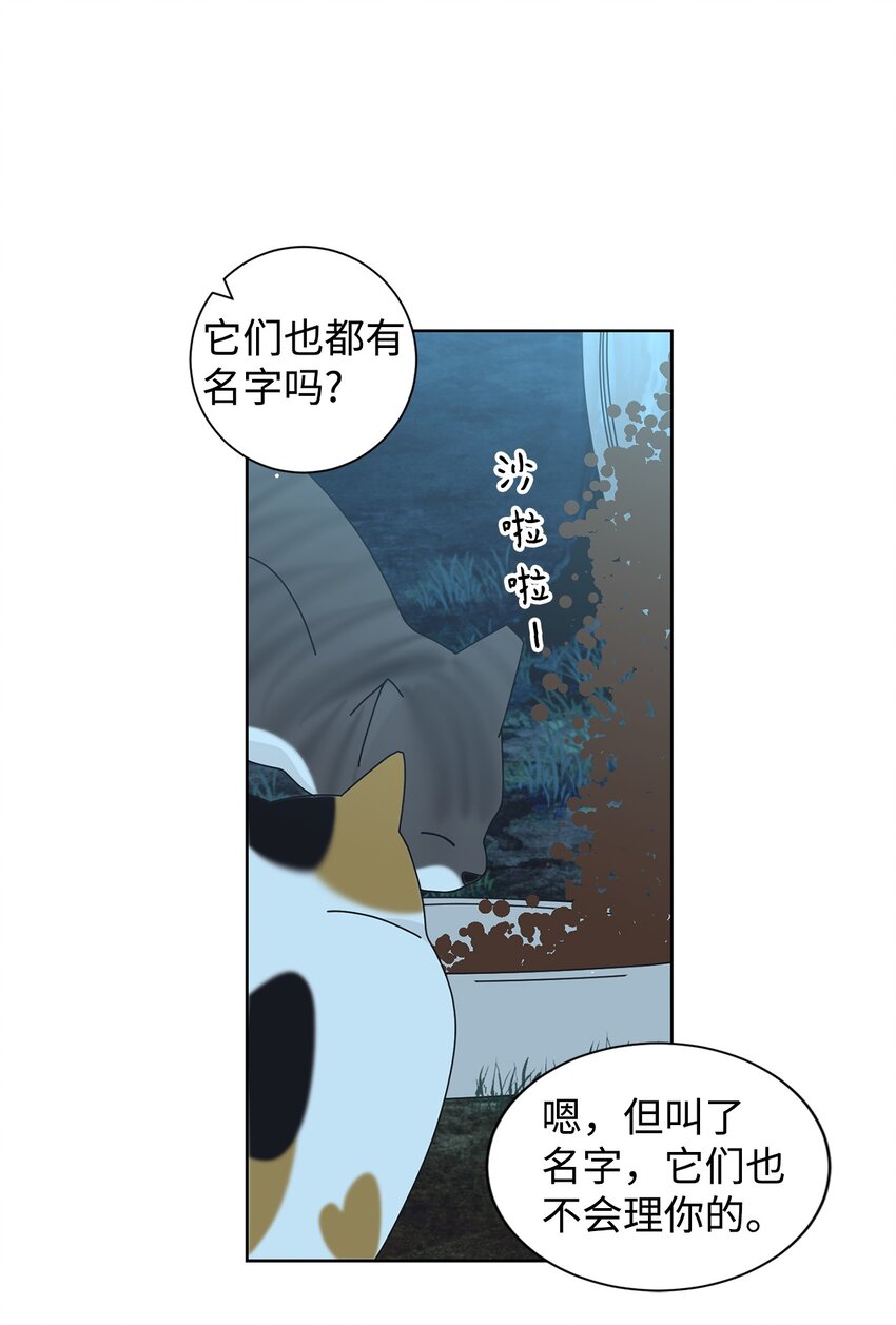 03 一起喂猫15