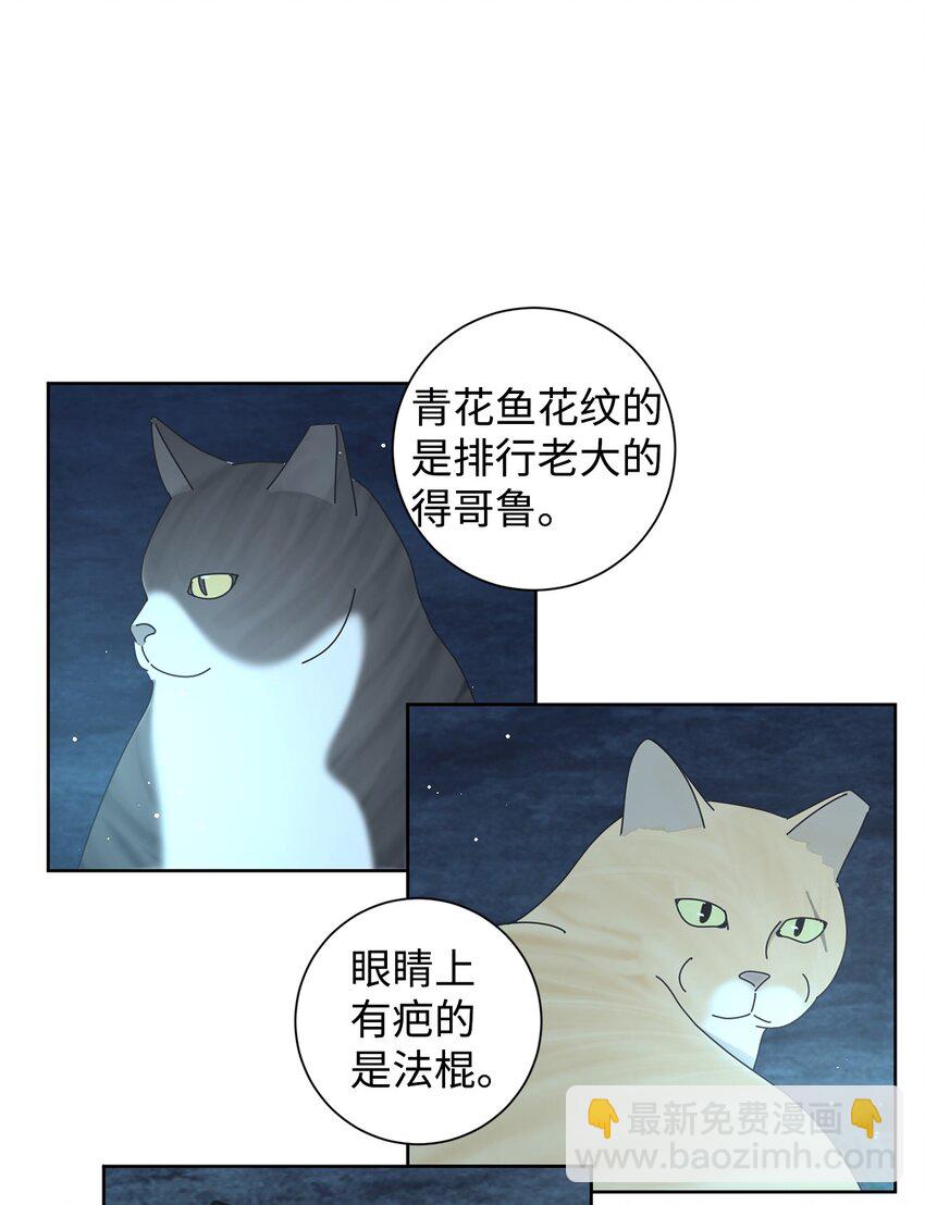 03 一起喂猫16