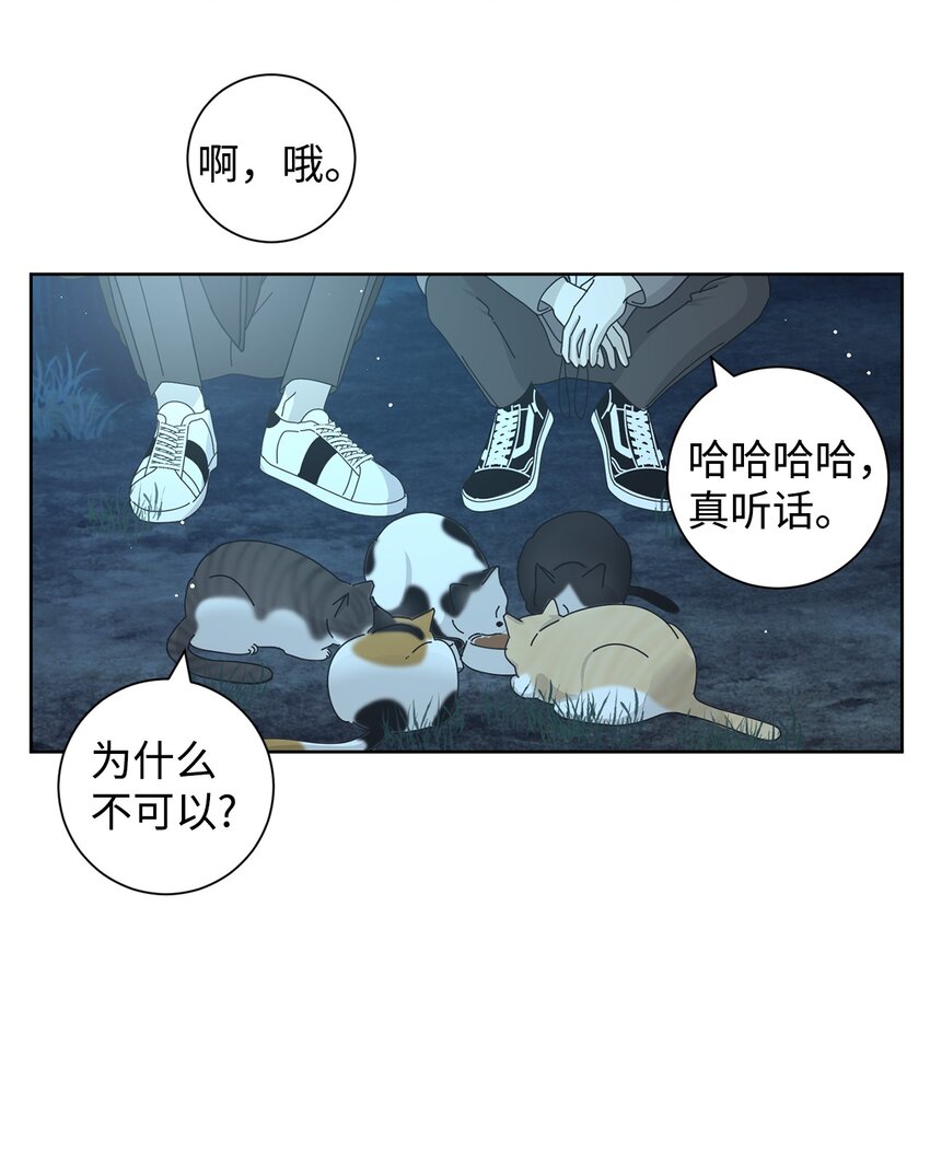 03 一起喂猫19