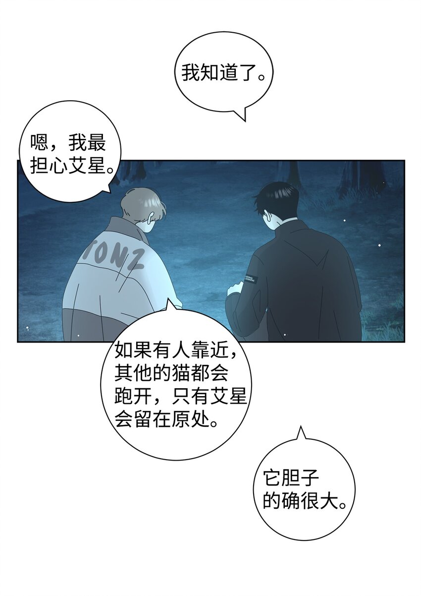 03 一起喂猫23