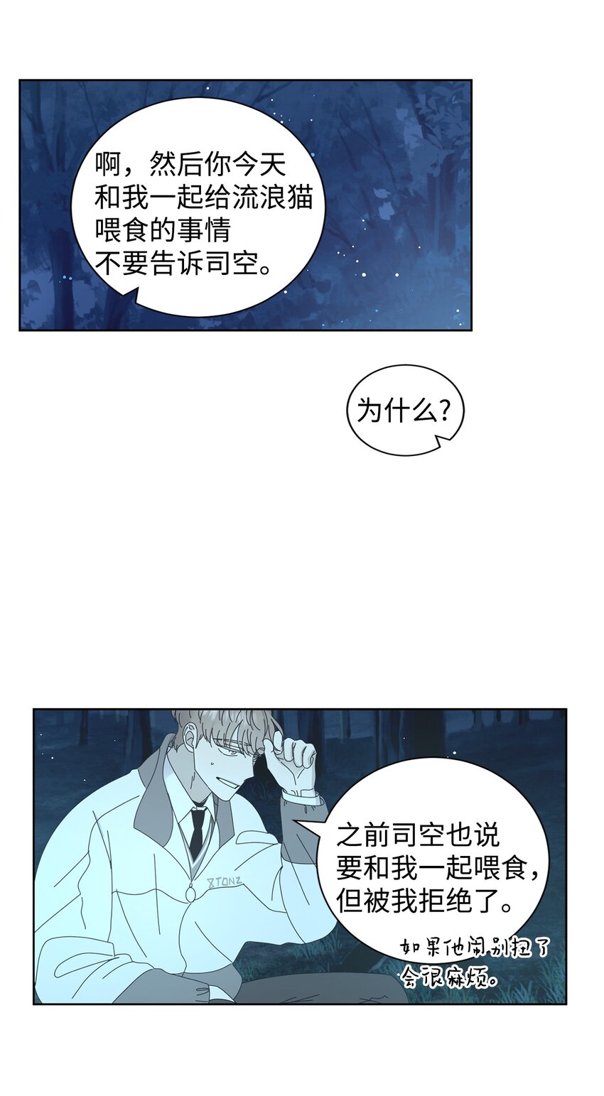03 一起喂猫24