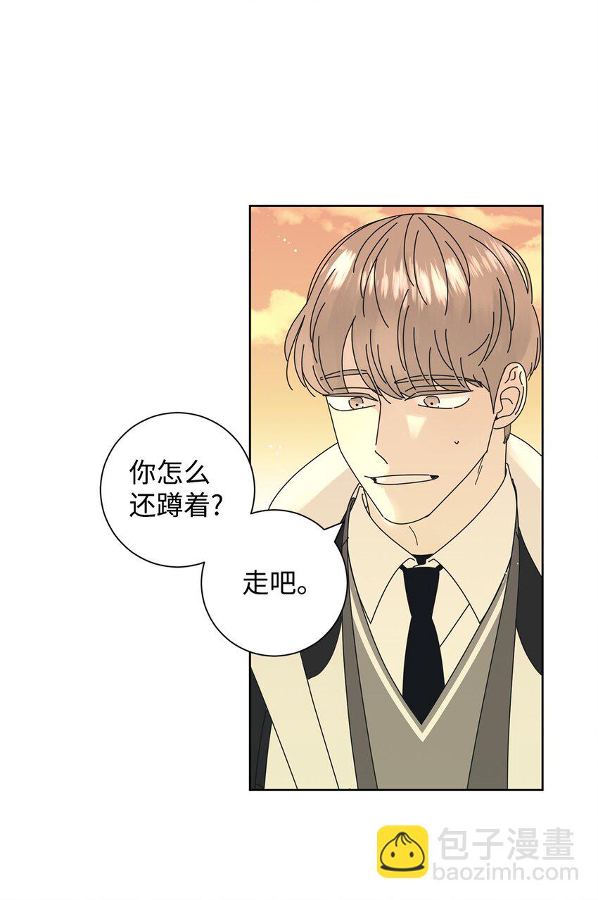 03 一起喂猫3