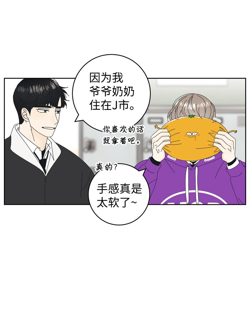 03 一起喂猫37