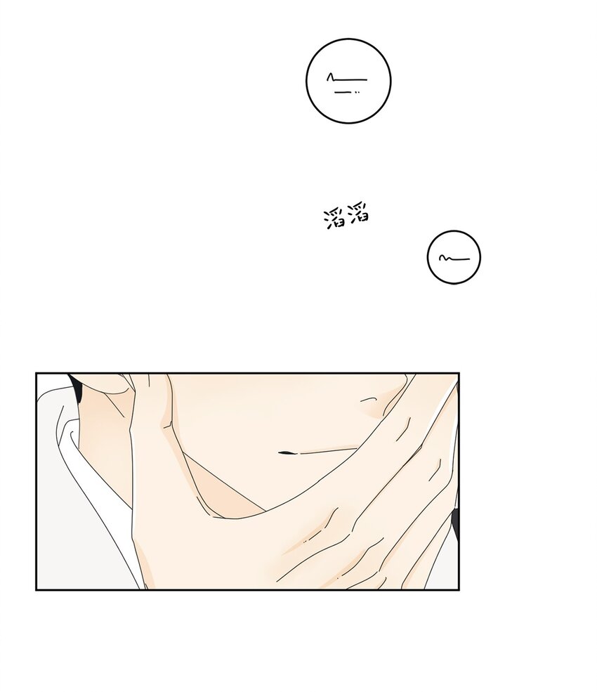 03 一起喂猫40