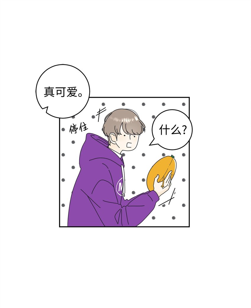 03 一起喂猫41