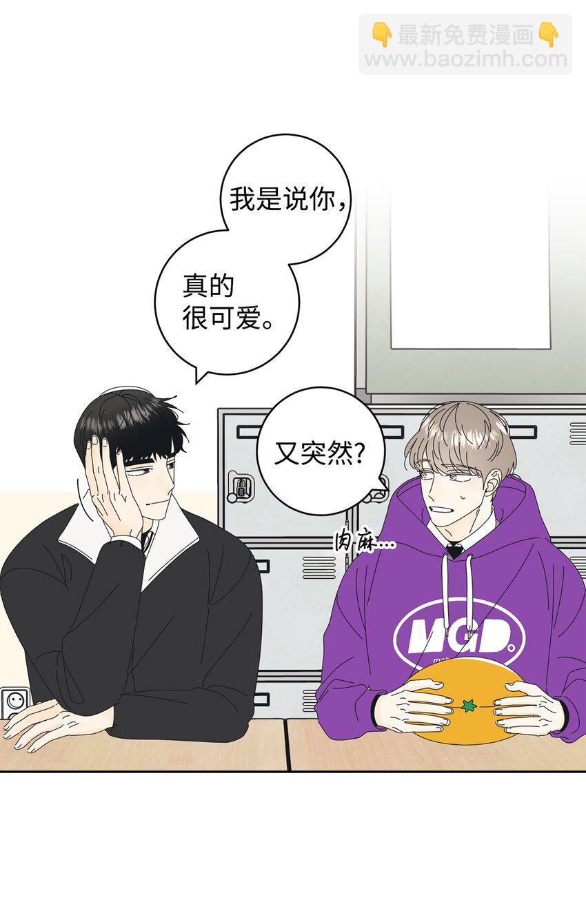 03 一起喂猫42