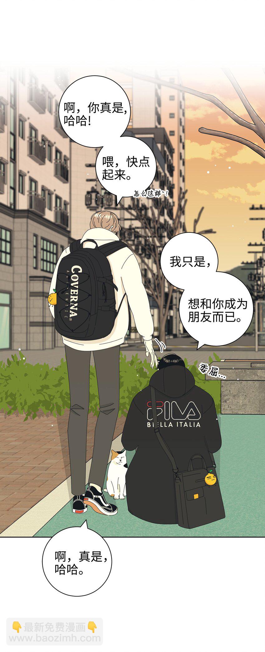 03 一起喂猫5
