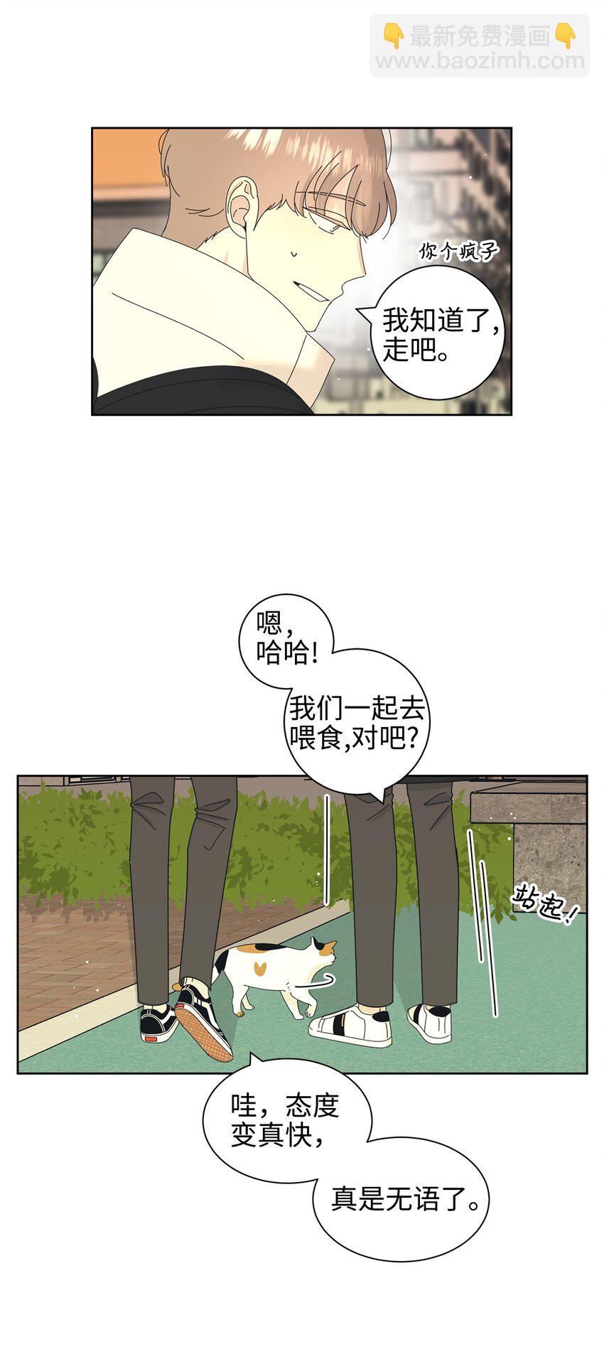 03 一起喂猫6