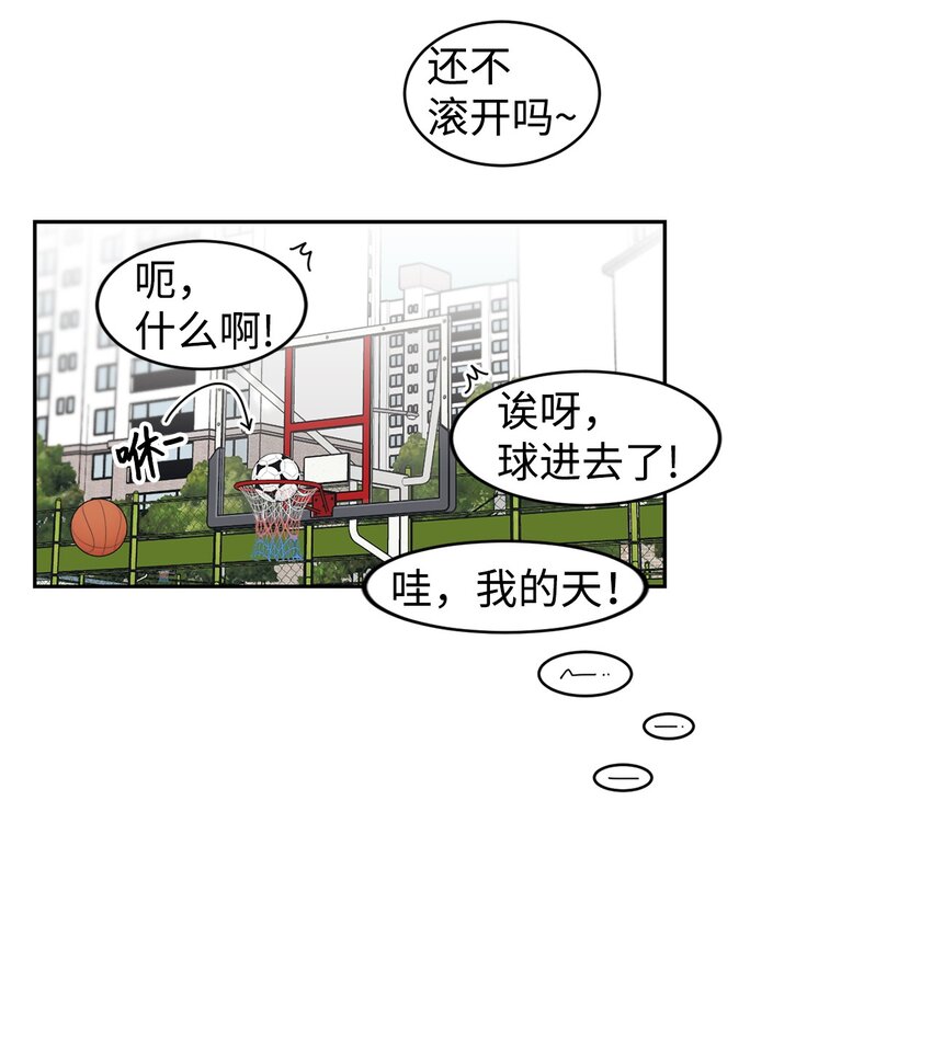 03 一起喂猫61