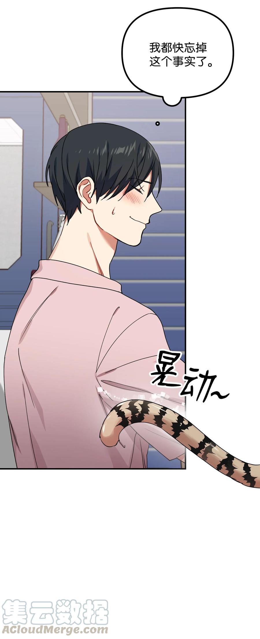 44 定心3