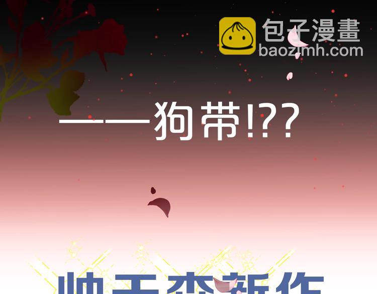 帅帅新作来袭！最惨女主角？6
