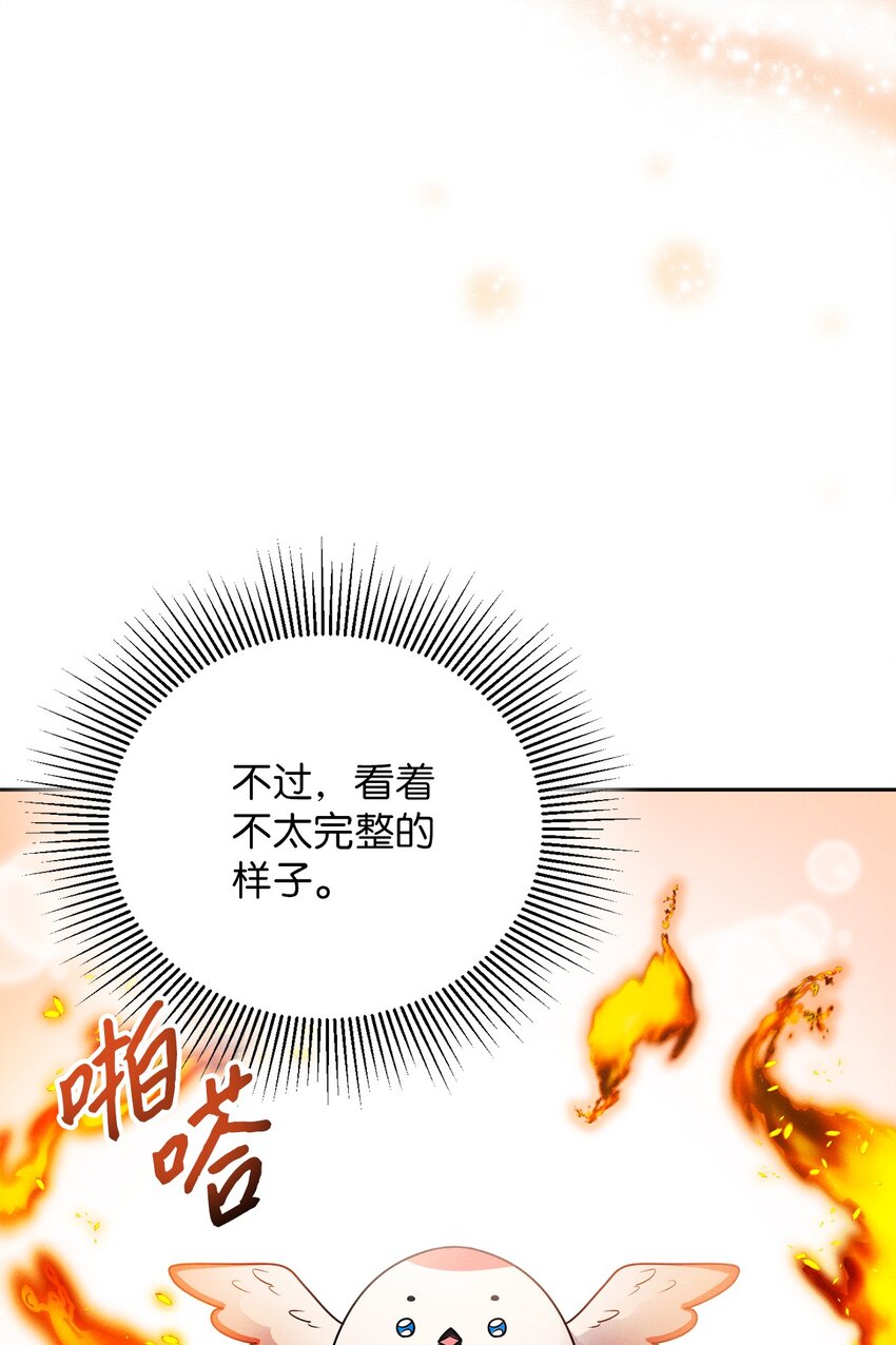 6 拉菲的由来4