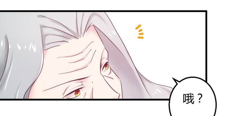 013测试新媳妇17