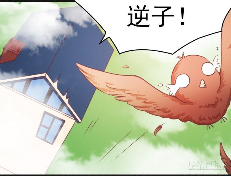 014未婚妻……呵呵！13