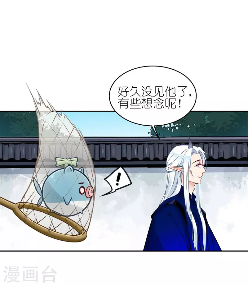 第60话 精灵食肆4
