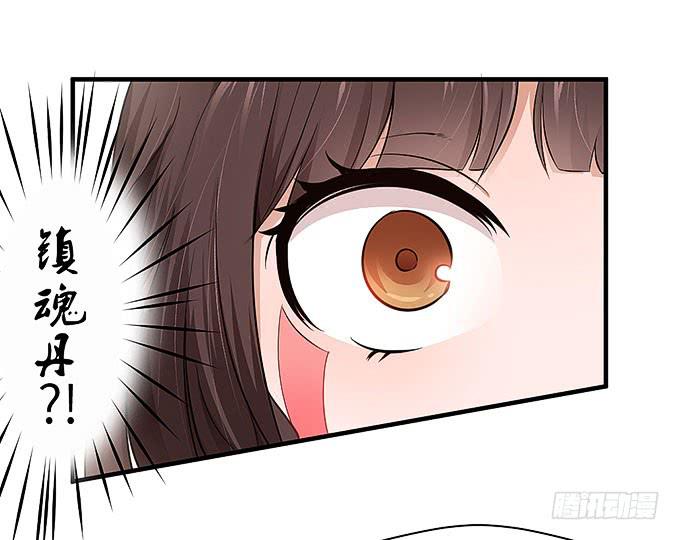 镇魂丹！13