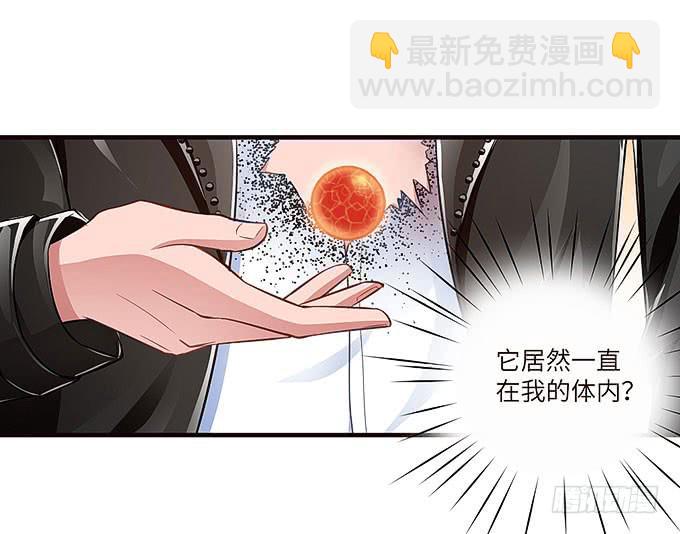 镇魂丹！5