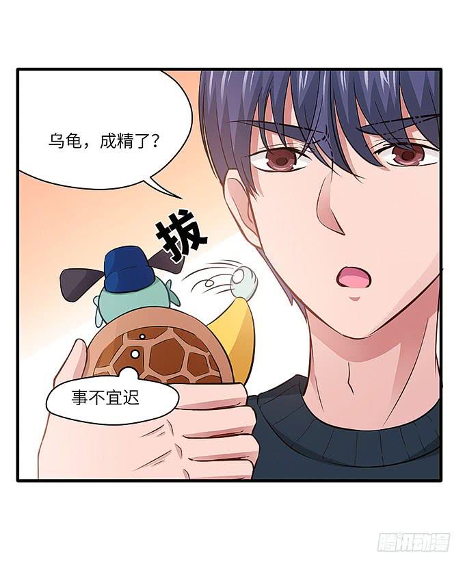 看我通灵龟毛！36