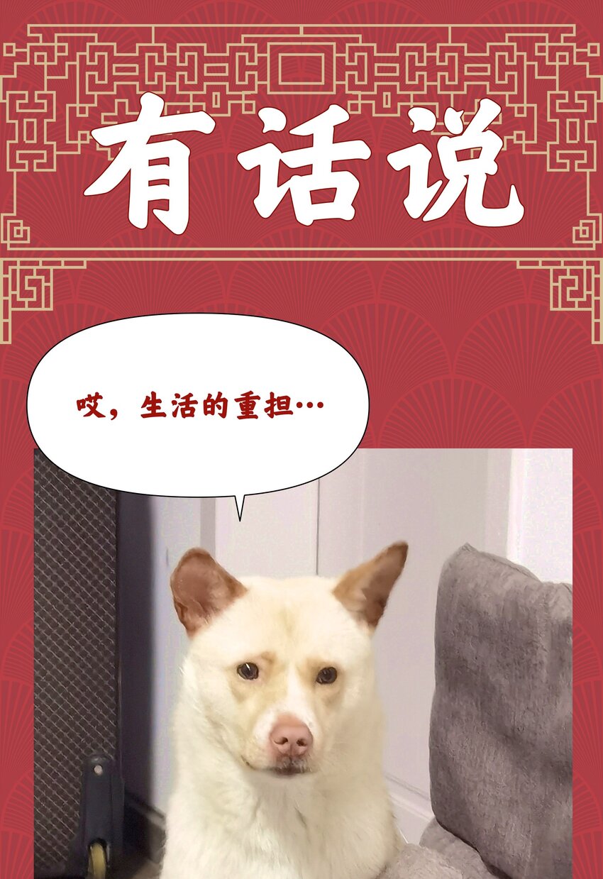 021 不以出身论英雄？40