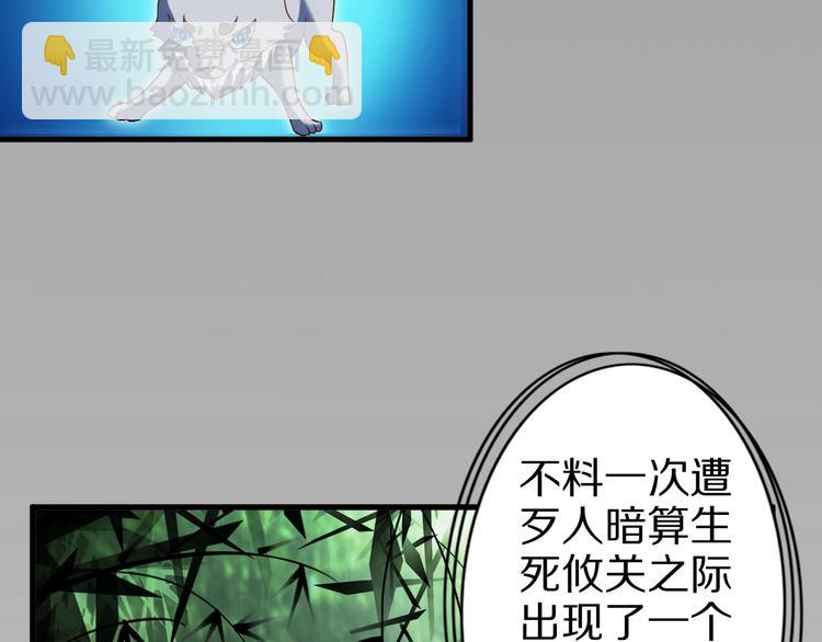 第52话 接任掌门？85