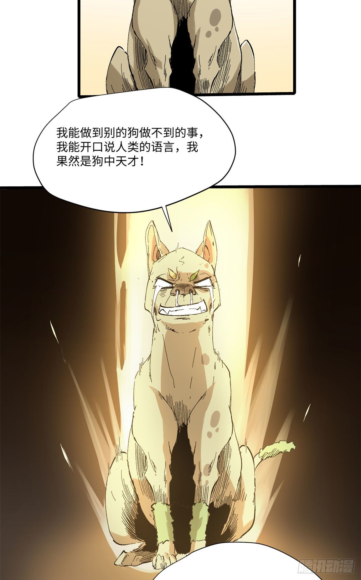 029 忠犬17