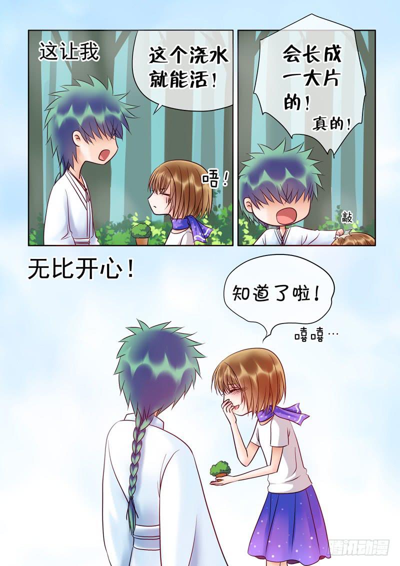 59 雨中幻影123