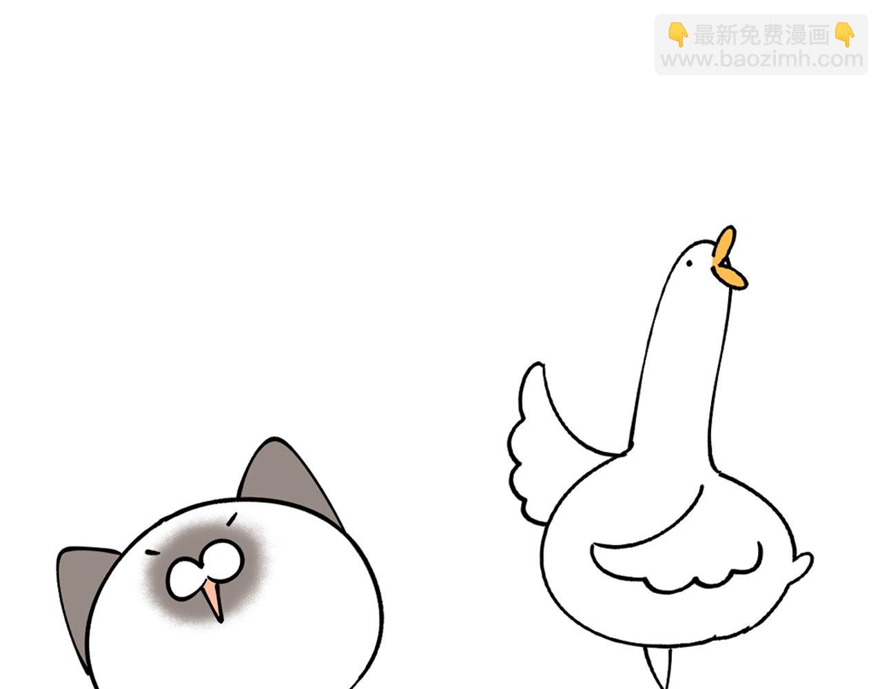 第30话 挑个你喜欢的戒指89