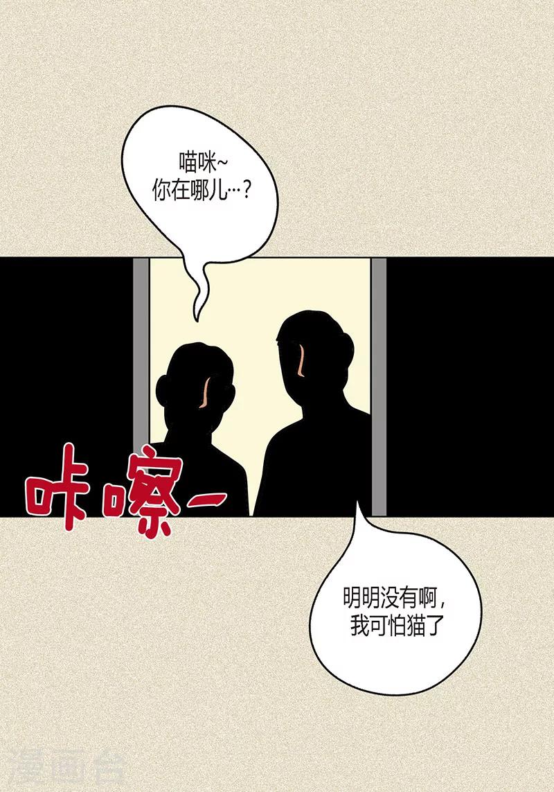 第8话 “流浪”喵1