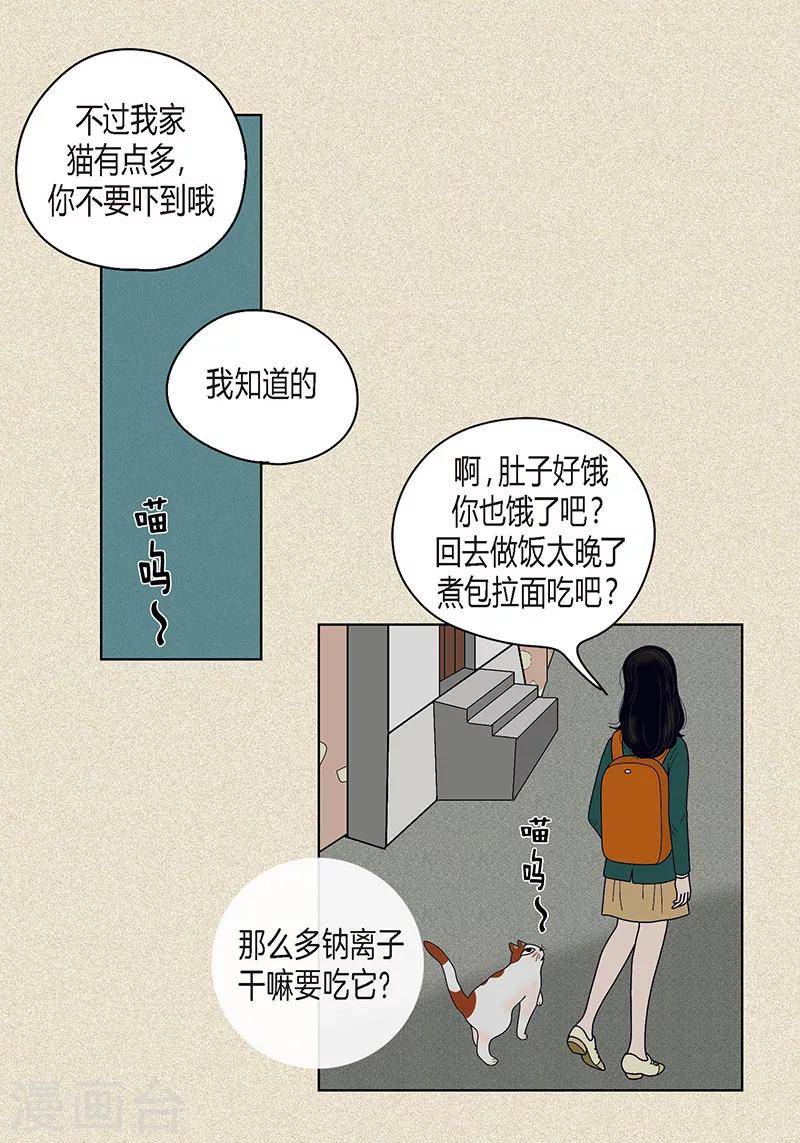 第36话 神秘人35
