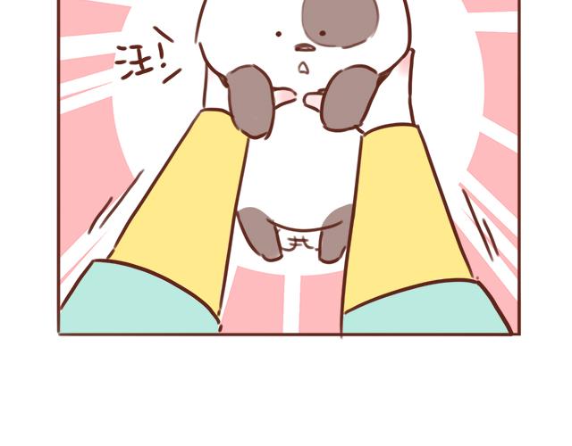 第48话 出现了新…新阿姨？？49