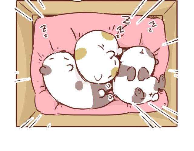 第49话 妈妈的决定！1