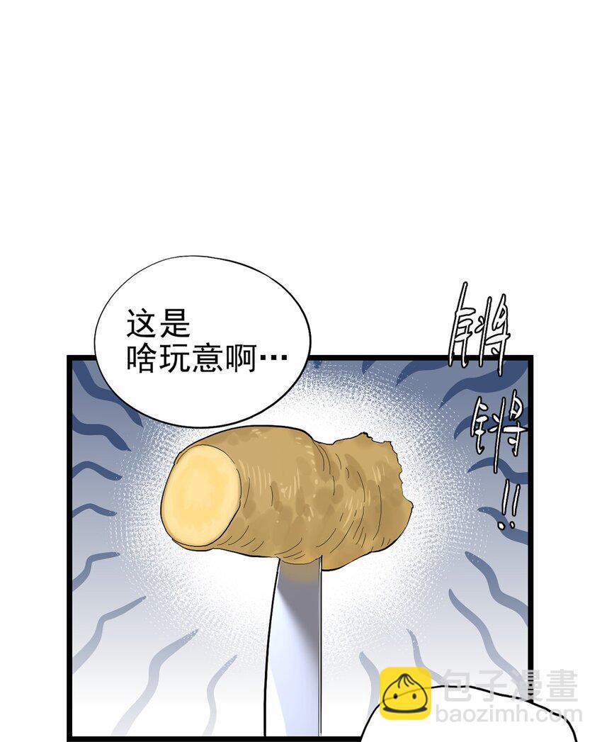 020 你们的城市没有生姜吗？13