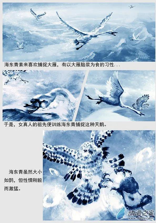 第04景 女真对契丹的仇恨 上4