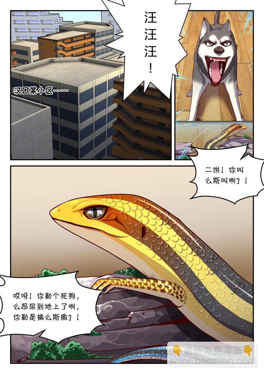第16话：天界通讯系统(下)5