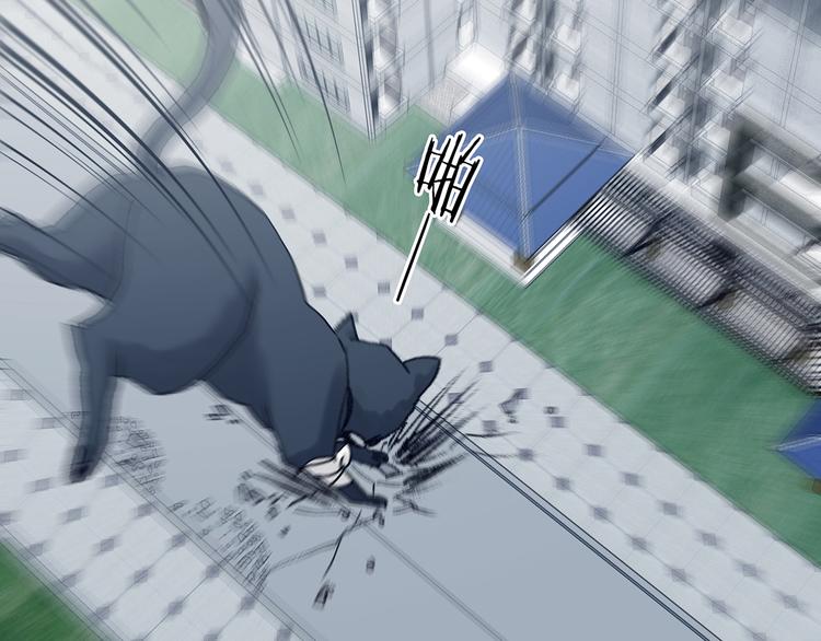 第92话 最终章 猫男（三）19