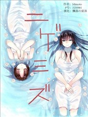 镜花水月.