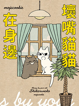 猫猫在身边蹭来蹭去